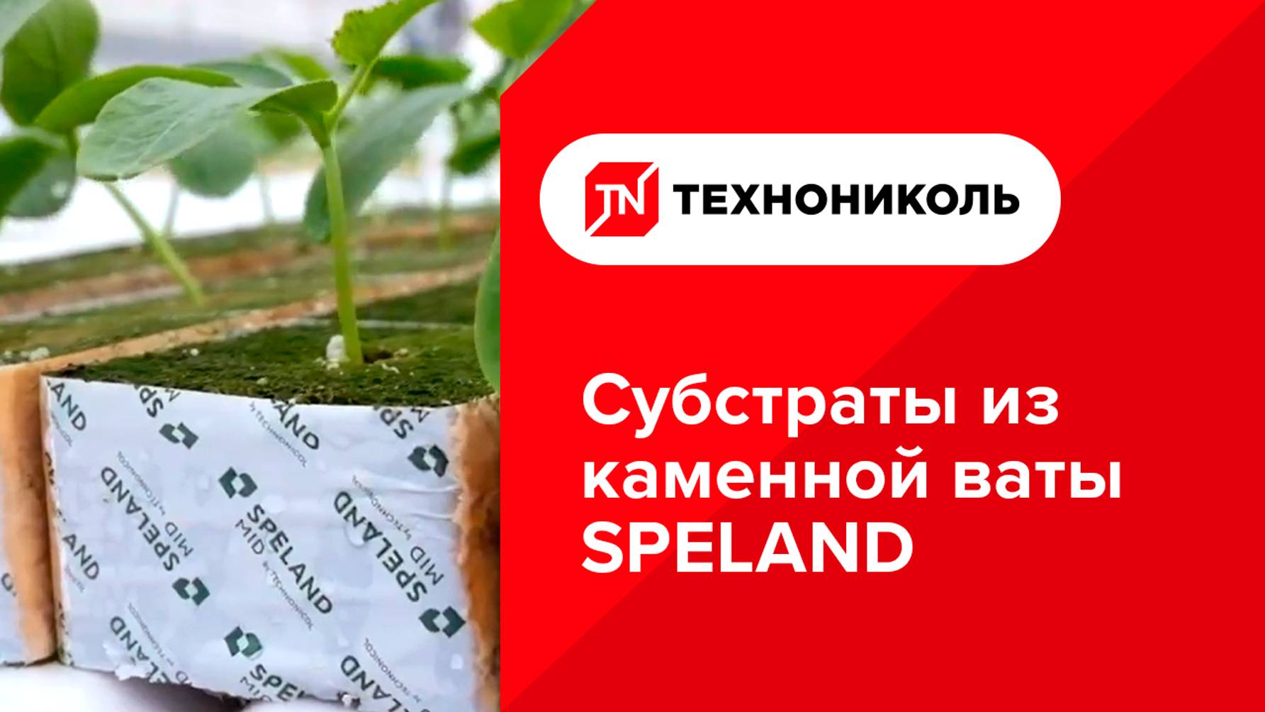 ТЕХНОНИКОЛЬ. Субстраты из каменной ваты SPELAND