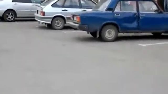 Коты обежают бедных собачек смотреть онлайн