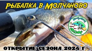 Молчаново 2024