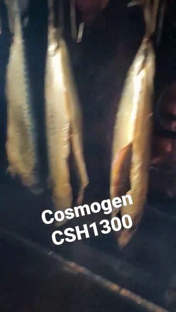 Холодное копчение разных продуктов в коптильне Cosmogen CSH1300