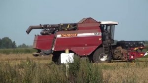 Палессе GS 10