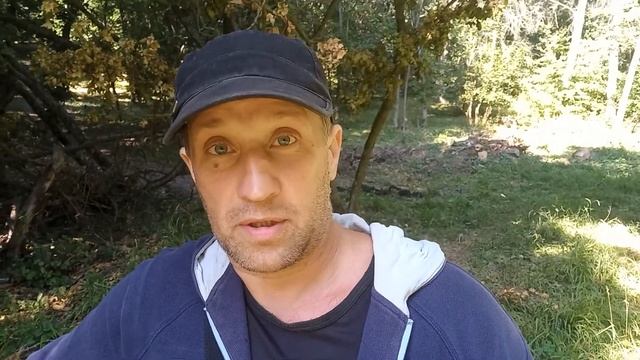 Утренея зарядка для мозга и достижения целий!