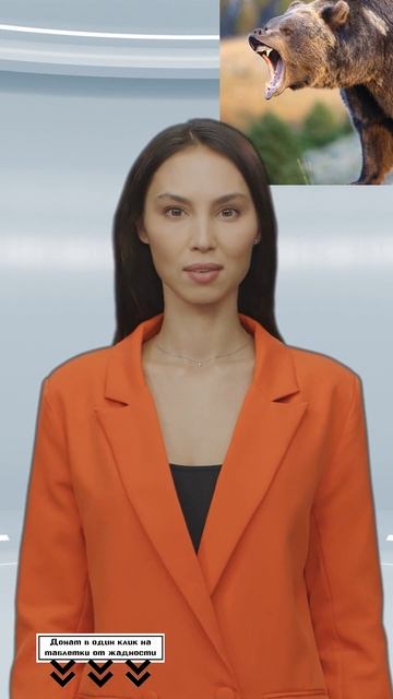 В Приморском крае медведь перед спячкой насмерть разорвал рыбака #shorts смотреть онлайн