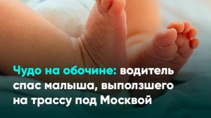 Чудо на обочине: водитель спас малыша, выползшего на трассу под Москвой