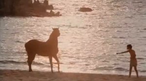 The Black Stallion - You Can't Take Me