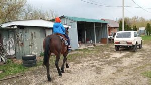 Старший сын верхом на лошади