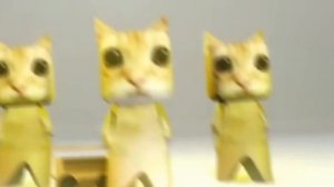 куми куми хаба хаба лака лака разными скоростями