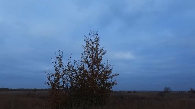Охота на ТЕТЕРЕВА. Часть 1.