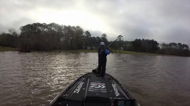 Check this Catch Out! смотреть онлайн