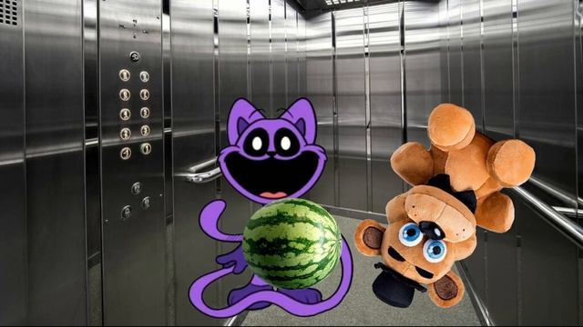 пов: типичный сон кэт нэпа