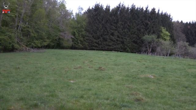 OUVERTURE DE LA CHASSE 2021-2022 смотреть онлайн