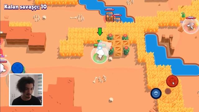 SHIBA NITA'yı ALDIM !! Brawl Stars (YENİ SKİN) смотреть онлайн