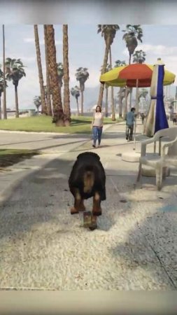 Grand Theft Auto V | GTA 5 Michael | GTA v Franklin | Animal #Shorts P82