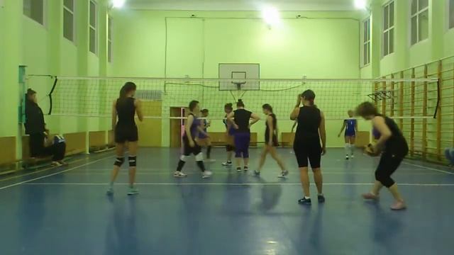 Rusvolleyball.ru | Хомяки - No pasaran! смотреть онлайн