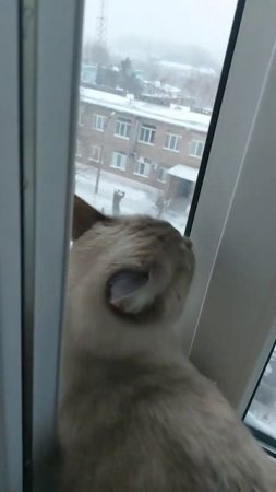Ох уж этот Вадим
