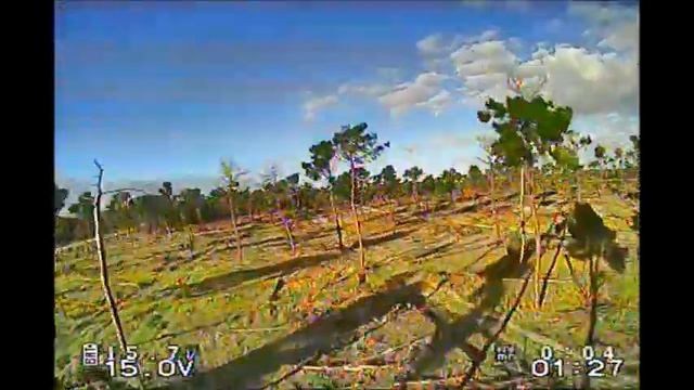 Tree Battle Helix смотреть онлайн