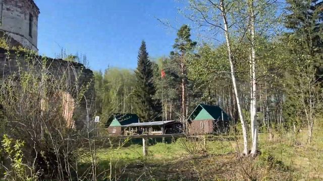 Наступил на ГАДЮКУ в Шатурском лесу! Поход к церкви в Курилово #поход #шатура #змеи смотреть онлайн