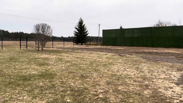 Зеленый забор. Калифорнийская изгородь.