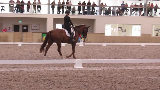 Joey Grand Prix Kur - Bay of plenty Championships Taupo 2019 смотреть онлайн