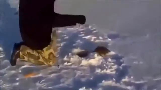 Проводная мышь