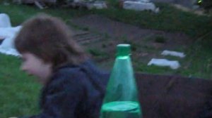 Нашествие майских жуков