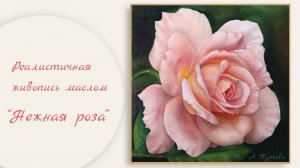 Реалистичная живопись маслом "Нежно-розовая роза"🎨