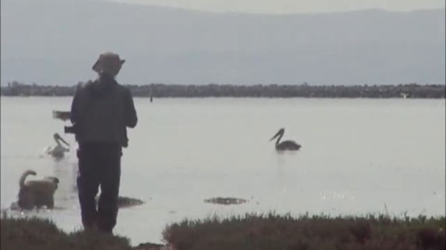 sakary & Pelican / sakary.gr смотреть онлайн