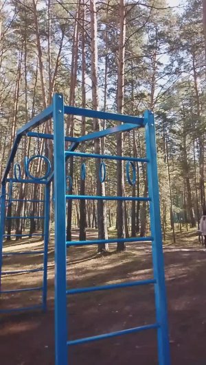 Санаторий "Тесь Солнечный" Сибирь. Собираю грибочки.