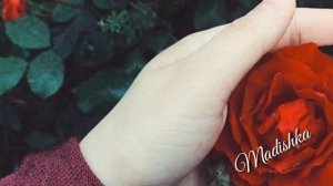 Шикарная🤤😍😍 Жайна Матцаева - йоьлхуш ас 1инадо б1архиш (New 2018)