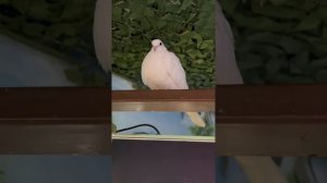 как я прогулял детский сад 😈😈😈