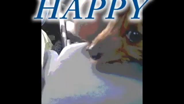 Happy Birthday Katya! смотреть онлайн