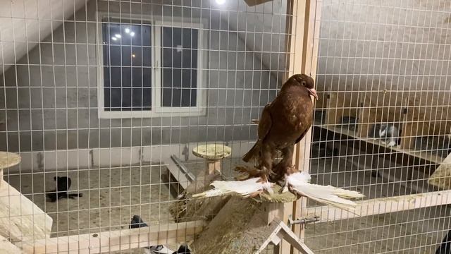 19 июня 2023 г. смотреть онлайн