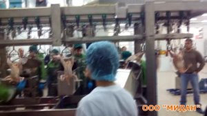 линия разделки птицы Мидан