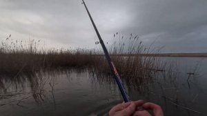 Карась на боковой кивок. Мой первый опыт...