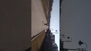 Канал Черной Пантеры от Кирила_Детские игры_Катание на велосипеле