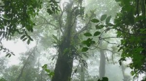 Коста-Рика!...