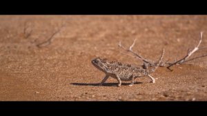 YouTube HDR Export Color Corrections using LG OLED C9, Blackmagic Decklink Monitor 4K.