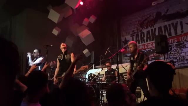 Тараканы!- Ramones Иваново смотреть онлайн