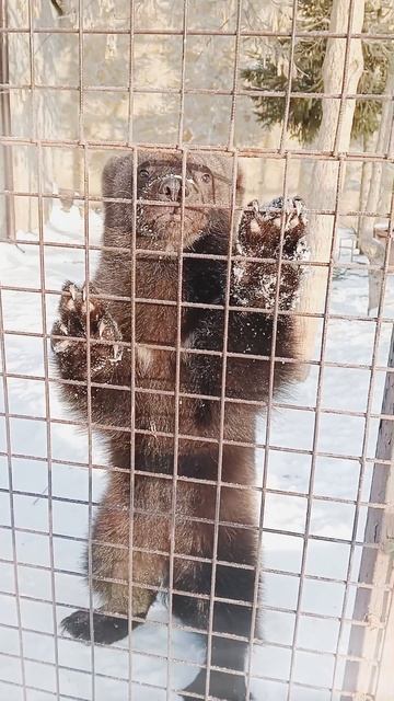 рассамаха❄️♥️