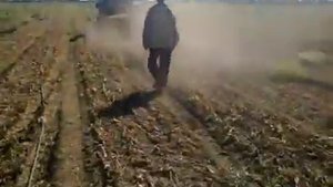 Ботвоудалитель лука