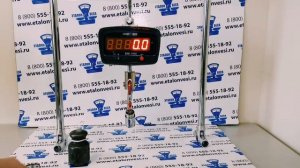 Крановые весы ВЭК-1000