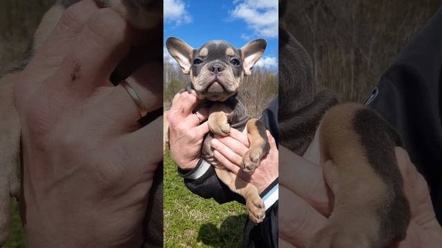 Фенька смотреть онлайн