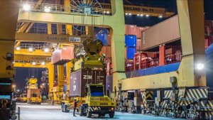 Алоэ Вера_20 лет