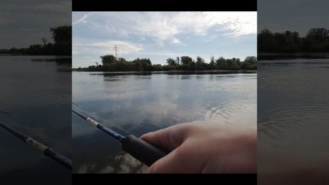 Осенний ГОЛАВЛЬ на большой реке #shorts смотреть онлайн