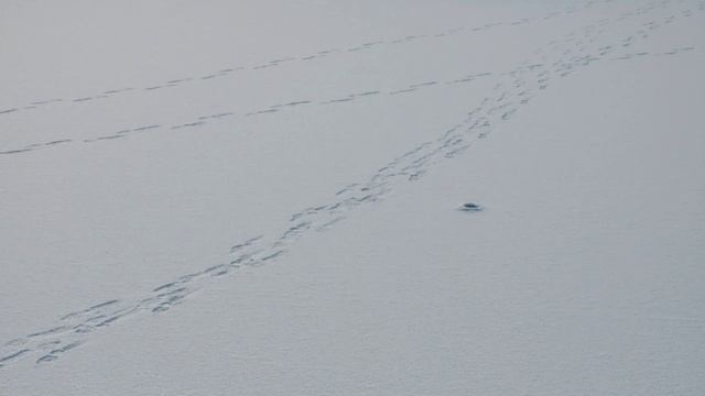 В плену у белого безмолвия(к Ишановскому оз) - ноябрь, 2019 г) - ч 4