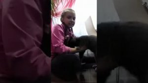 Как научить кота команде дай лапу