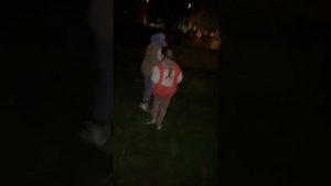 Нашли мёртвую осу. Идем хоронить.