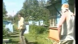 Александр Ливер - Пасека