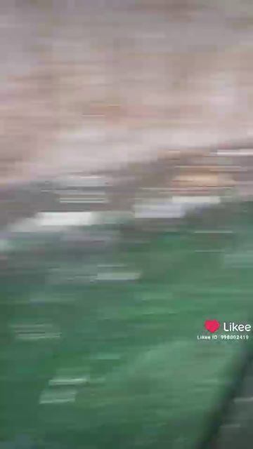 Кемерово Отдают собак в Добрые Руки хорошие охранники ! смотреть онлайн