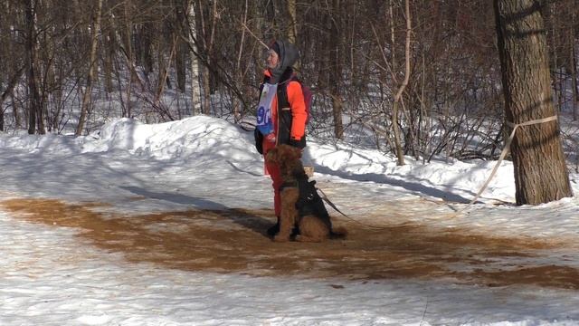 "Стенка на стенку" 2024 смотреть онлайн